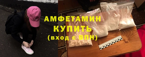 дурь Бородино