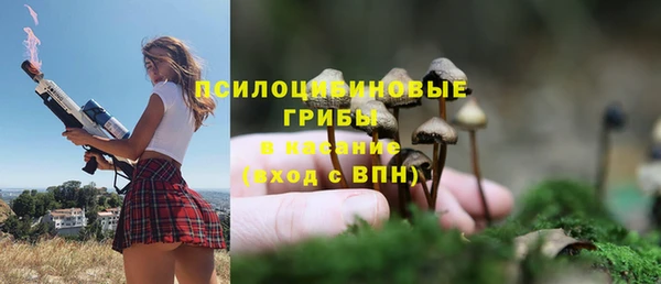 ALPHA PVP Бугульма