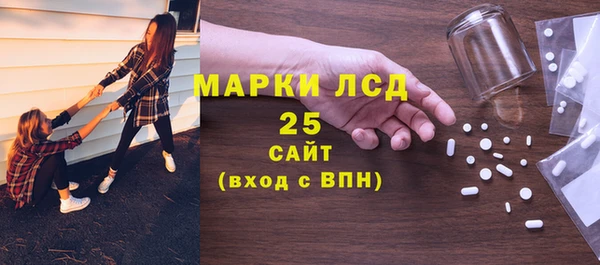 дурь Бородино