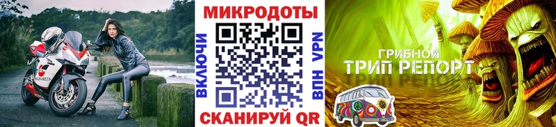 Купить закладки  Коряжма  Псилоцибиновые грибы мицелий 